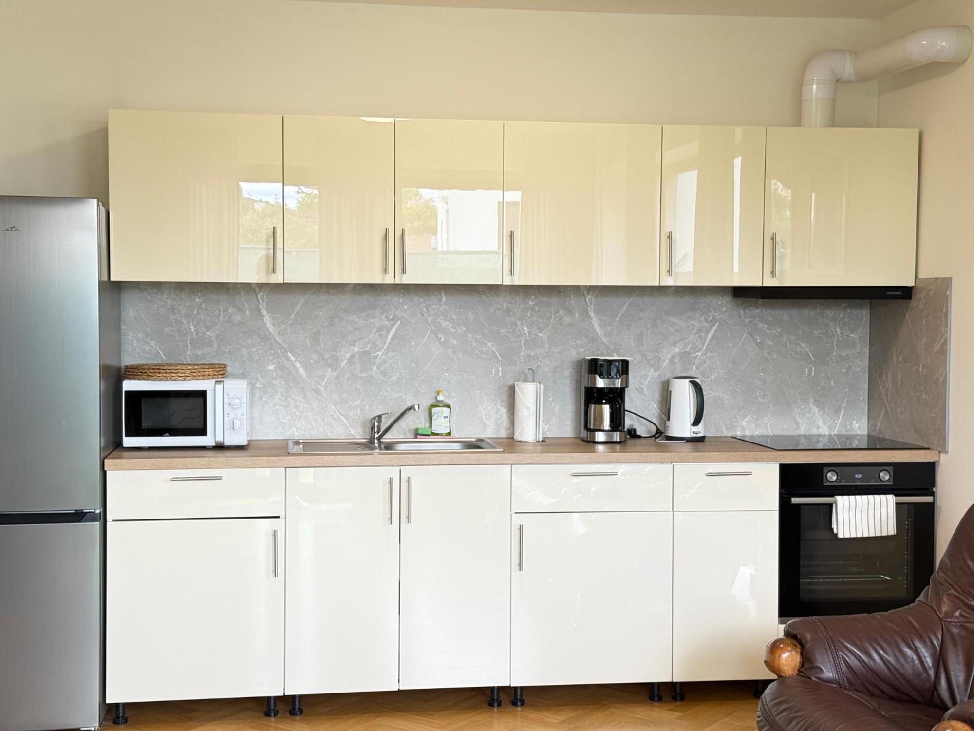Familyvilla, New 4 Luxury Big Apartments, Parking 布拉格 外观 照片